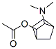 Bicyclo[2.2.1]heptan-2-ol, 3-(dimethylamino)-, acetate (ester), (endo,endo)- (9CI) Structure