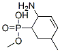 Phosphonic acid, (2-amino-5-methyl-3-cyclohexen-1-yl)-, monomethyl ester (9CI) Structure