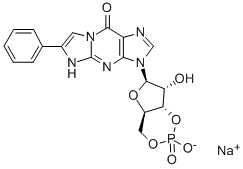 78080-27-0 1,N-(2-フェニルエチレン)グアノシン3′,5′-りん酸