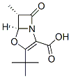 4-Oxa-1-azabicyclo[3.2.0]hept-2-ene-2-carboxylicacid,3-(1,1-dimethylethyl)-6-methyl-7-oxo-,cis-(9CI) 化学構造式