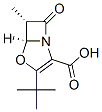 4-Oxa-1-azabicyclo[3.2.0]hept-2-ene-2-carboxylicacid,3-(1,1-dimethylethyl)-6-methyl-7-oxo-,cis-(9CI)|