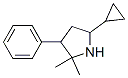 Pyrrolidine, 5-cyclopropyl-2,2-dimethyl-3-phenyl- (9CI)|