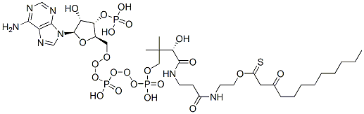 S-[2-[3-[[4-[[[(2R,3S,4R,5R)-5-(6-aminopurin-9-yl)-4-hydroxy-3-phosphonooxyoxolan-2-yl]methoxy-hydroxyphosphoryl]oxy-hydroxyphosphoryl]oxy-2-hydroxy-3,3-dimethylbutanoyl]amino]propanoylamino]ethyl] 3-oxododecanethioate,78303-19-2,结构式