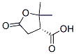 3-Furancarboxylicacid,tetrahydro-2,2-dimethyl-5-oxo-,(3R)-(9CI) Struktur