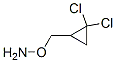 Hydroxylamine, O-[(2,2-dichlorocyclopropyl)methyl]- (9CI) 化学構造式