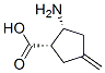 Cyclopentanecarboxylic acid, 2-amino-4-methylene-, (1S,2R)- (9CI) Structure