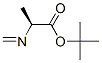 L-알라닌,N-메틸렌-,1,1-디메틸에틸에스테르(9CI)