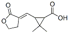 Cyclopropanecarboxylic acid, 3-[(dihydro-2-oxo-3(2H)-furanylidene)methyl]-2,2-dimethyl- (9CI) Struktur