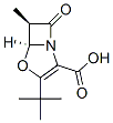 4-Oxa-1-azabicyclo[3.2.0]hept-2-ene-2-carboxylicacid,3-(1,1-dimethylethyl)-6-methyl-7-oxo-,trans-(9CI) Structure