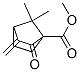 Bicyclo[2.2.1]heptane-1-carboxylic acid, 7,7-dimethyl-3-methylene-2-oxo-, methyl ester (9CI) Structure