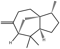 (+)-BETA-FUNEBRENE 化学構造式
