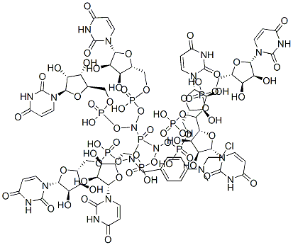 4-(N-2-chloroethyl-N-methyl)aminobenzyl-5'-phosphoamide heptauridylate Structure