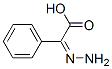 Benzeneacetic acid, alpha-hydrazono- (9CI) Structure