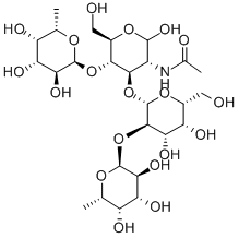 LewisBtetrasaccharide Struktur