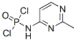 Phosphoramidic dichloride, (2-methyl-4-pyrimidinyl)- (8CI) Structure