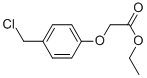 (4-CHLOROMETHYL-PHENOXY)-ACETIC ACID ETHYL ESTER,80494-75-3,结构式
