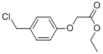 (4-CHLOROMETHYL-PHENOXY)-ACETIC ACID ETHYL ESTER|