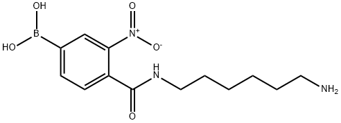 3-nitro-4-(6-aminohexylamido)phenylboronic acid|