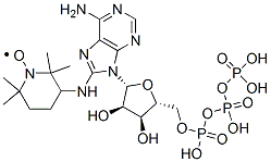 8-(2,2,6,6-tetramethylpiperidin-4-yl-1-oxyl)amino-adenosine triphosphate 化学構造式