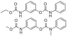 betamix Structure