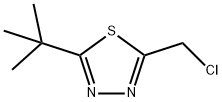 2-TERT-BUTYL-5-CHLOROMETHYL-1,3,4-THIADIAZOLE 结构式