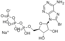 8-BROMO-ADENOSINE-5'-TRIPHOSPHATE, SODIUM SALT Struktur