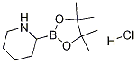 811439-31-3 2-(4,4,5,5-四甲基-1,3,2-二氧杂环戊硼烷-2-基)哌啶盐酸盐