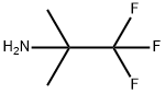 2,2,2-TRIFLUORO-1,1-DIMETHYL-ETHYLAMINE Structure