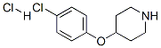 4-(3,4-ジクロロフェノキシ)ピペリジン塩酸塩 塩化物 化学構造式