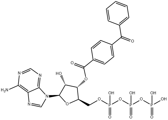 3'-O-(4-benzoyl)benzoyladenosine 5'-triphosphate Structure