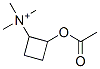 2-acetoxycyclobutyltrimethylammonium 结构式