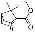 Bicyclo[2.2.1]heptane-1-carboxylic acid, 7,7-dimethyl-2-methylene-, methyl ester (9CI) 化学構造式