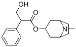 atropine 结构式