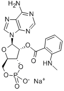 MANT-CAMP SODIUM SALT Struktur