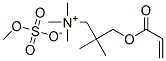 2,2-dimethyl-3-[(1-oxoallyl)oxy]propyltrimethylammonium methyl sulphate|