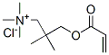 2,2-dimethyl-3-[(1-oxoallyl)oxy]propyltrimethylammonium chloride 结构式