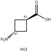 trans-3-AMinocyclobutanecarboxylic acid hydrochloride price.