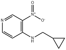 N-(环丙基甲基)-3-硝基吡啶-4-胺, 842143-89-9, 结构式