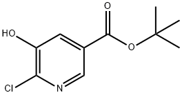 6-氯-5-羟基烟酸叔丁酯 结构式