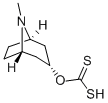 O-Ethylcarbonodithioic acid S-(8-methyl-8-azabicyclo[3.2.1]oct-3-yl) ester 化学構造式