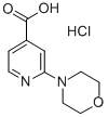 2-MORPHOLIN-4-YL-ISONICOTINIC ACID HYDROCHLORIDE price.