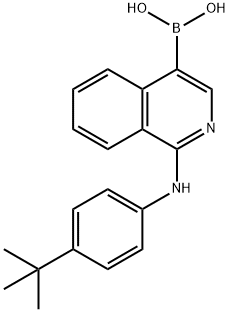 1-(4-tert-butylphenylaMino)isoquinolin-2(1H)-ylboronic acid Struktur