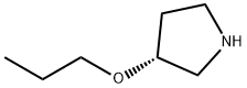 (R)-3-丙氧基吡咯烷,849924-75-0,结构式