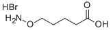 850411-23-3 5-(AMINOOXY)PENTANOIC ACID, HYDROBROMIDE