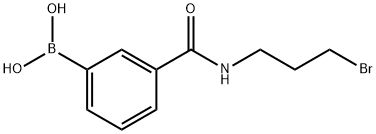 N-(3-BROMOPROPYL) 3-BORONOBENZAMIDE 化学構造式