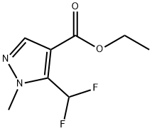 乙基-甲基- 5 -(二氟)-1H -吡唑-4-羧酸 结构式