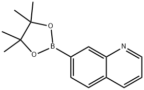 キノリン-7-ボロン酸ピナコールエステル 化学構造式