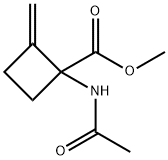 Cyclobutanecarboxylic  acid,  1-(acetylamino)-2-methylene-,  methyl  ester Structure