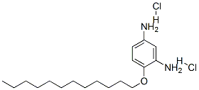 4-(ドデシルオキシ)-1,3-ベンゼンジアミン・2塩酸塩 化学構造式