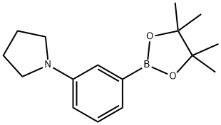 1-[3-(4,4,5,5-テトラメチル-1,3,2-ジオキサボロラン-2-イル)フェニル]ピロリジン 化学構造式